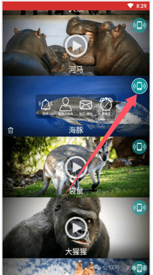 动物手机铃声大全免费app下载：有各个种类的动物声音，并设置为手机铃声