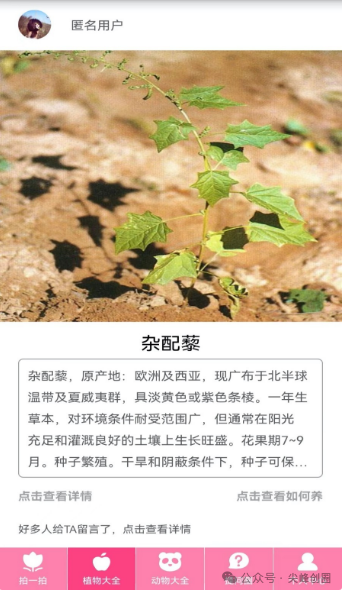 万能拍照识物APP免费下载，能够去识别动物、植物、中药材的拍照识物识图软件