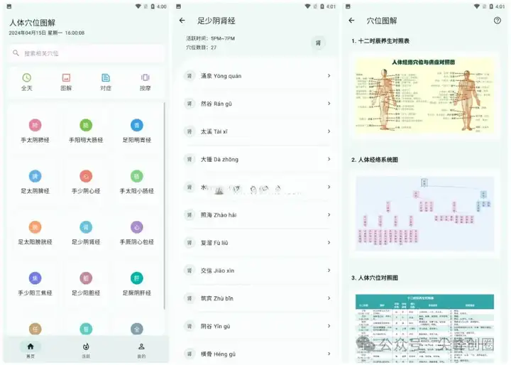 中医经洛穴位图软件推荐“人体穴位图解app”下载，免费查询穴位