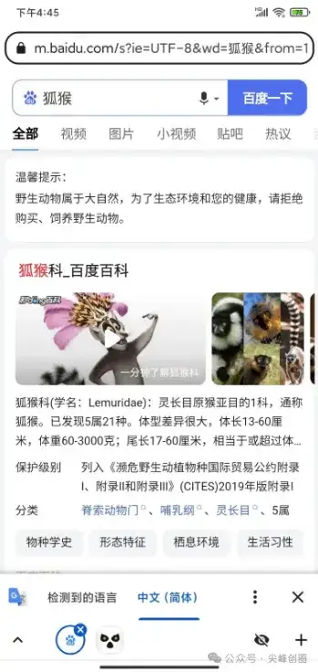 狐猴浏览器（Lemur Browser）下载，支持谷歌和微软浏览器扩展插件